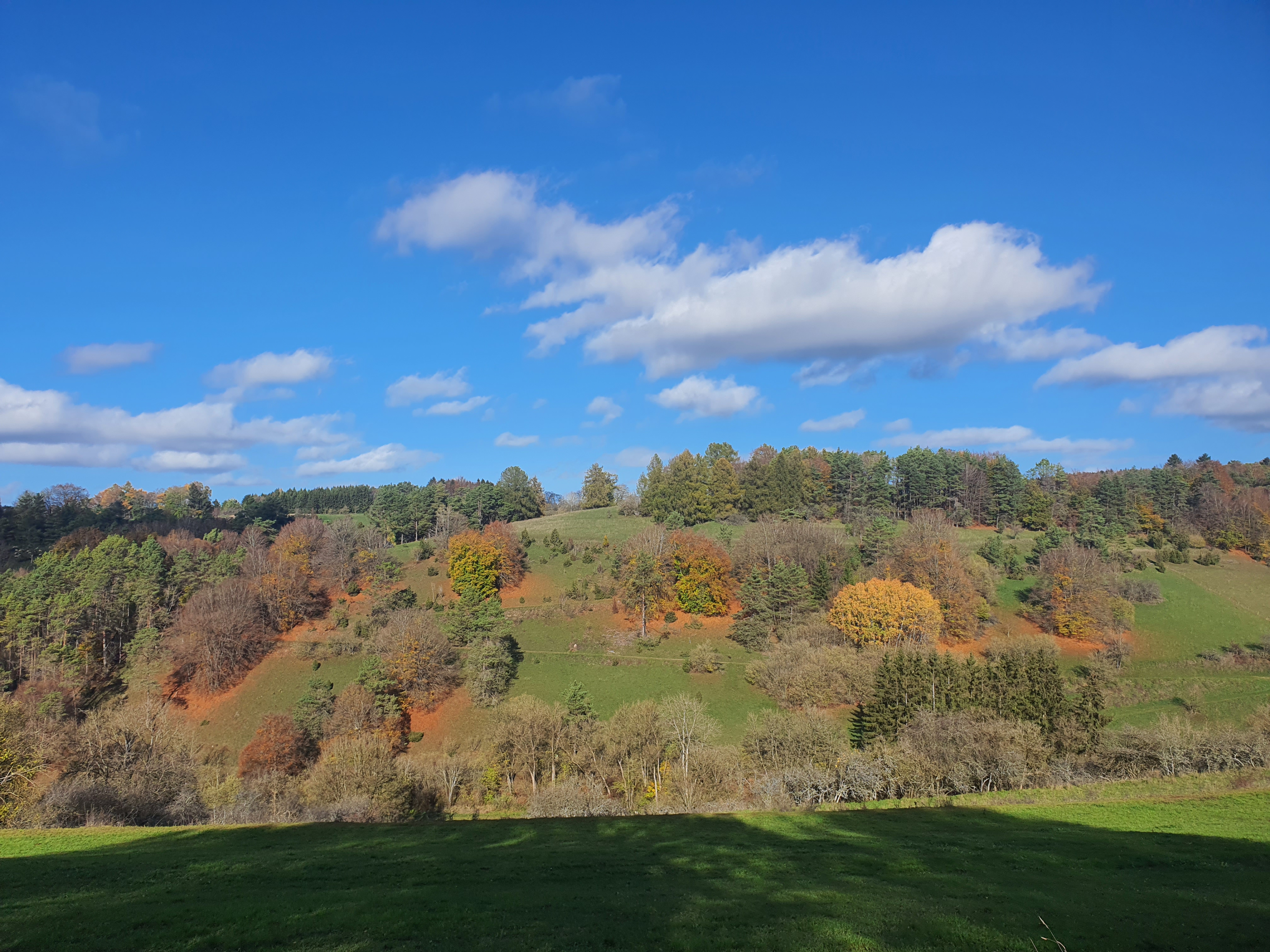 Hersdorf,Ferienwohnung, Eifel, Urlaub, Natur