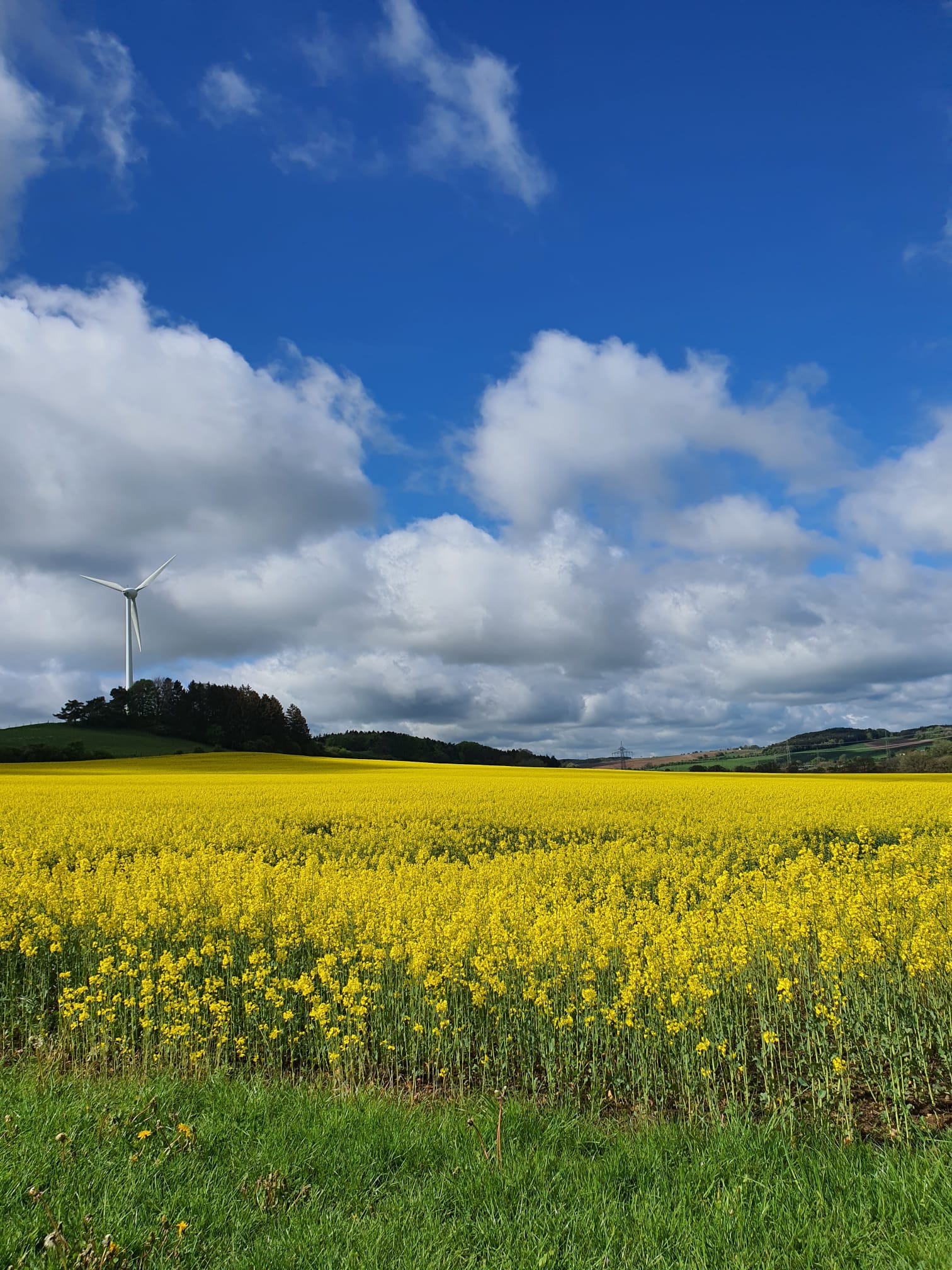 Hersdorf Ferienwohnung, Eifel, Urlaub, Natur