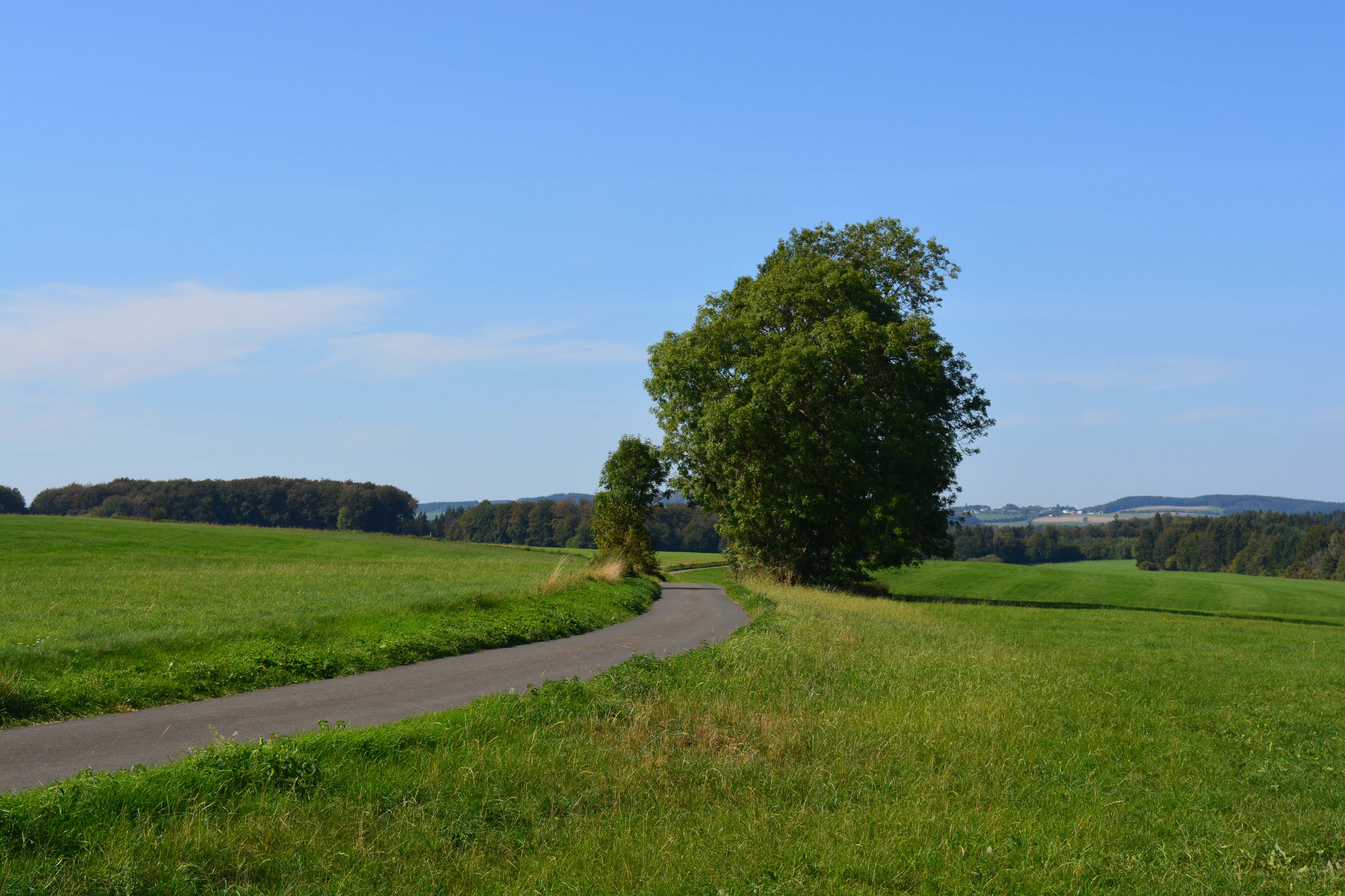 Hersdorf Ferienwohnung, Eifel, Urlaub, Natur