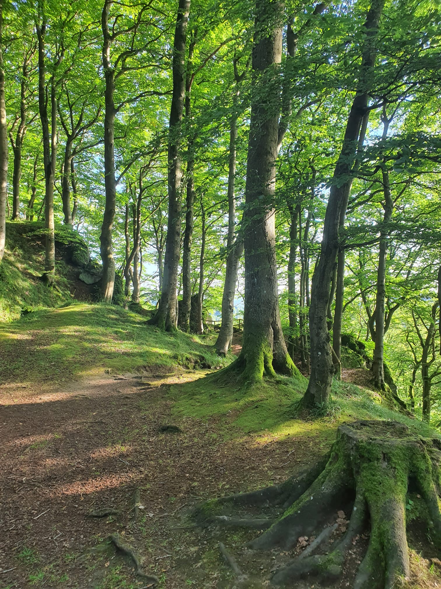 Hersdorf Ferienwohnung, Eifel, Urlaub, Natur