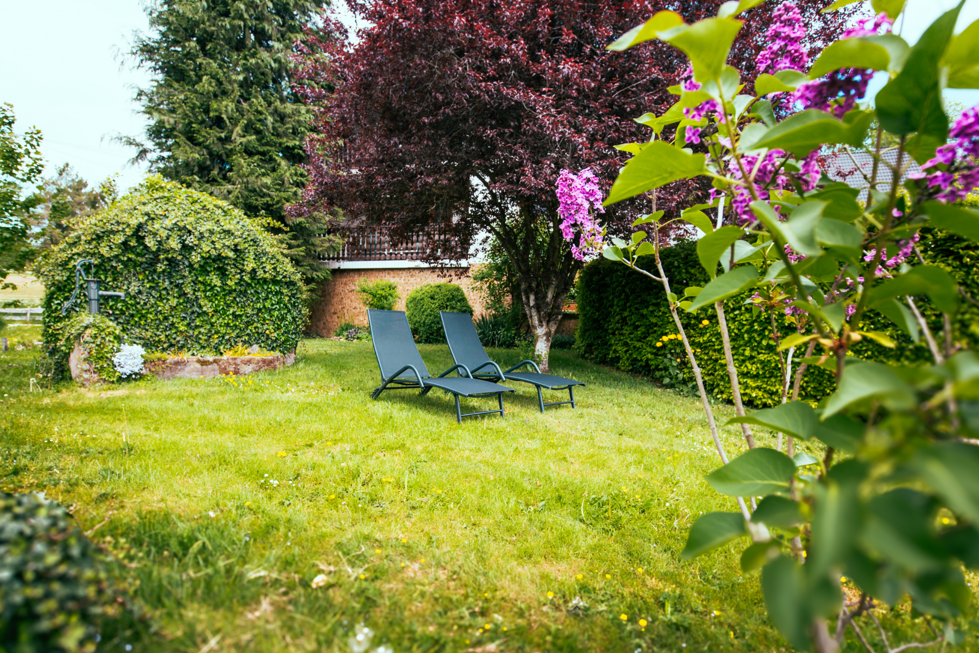 Ferienwohnung, Urlaub, Eifel, Garten, Sonnenliege, Natur