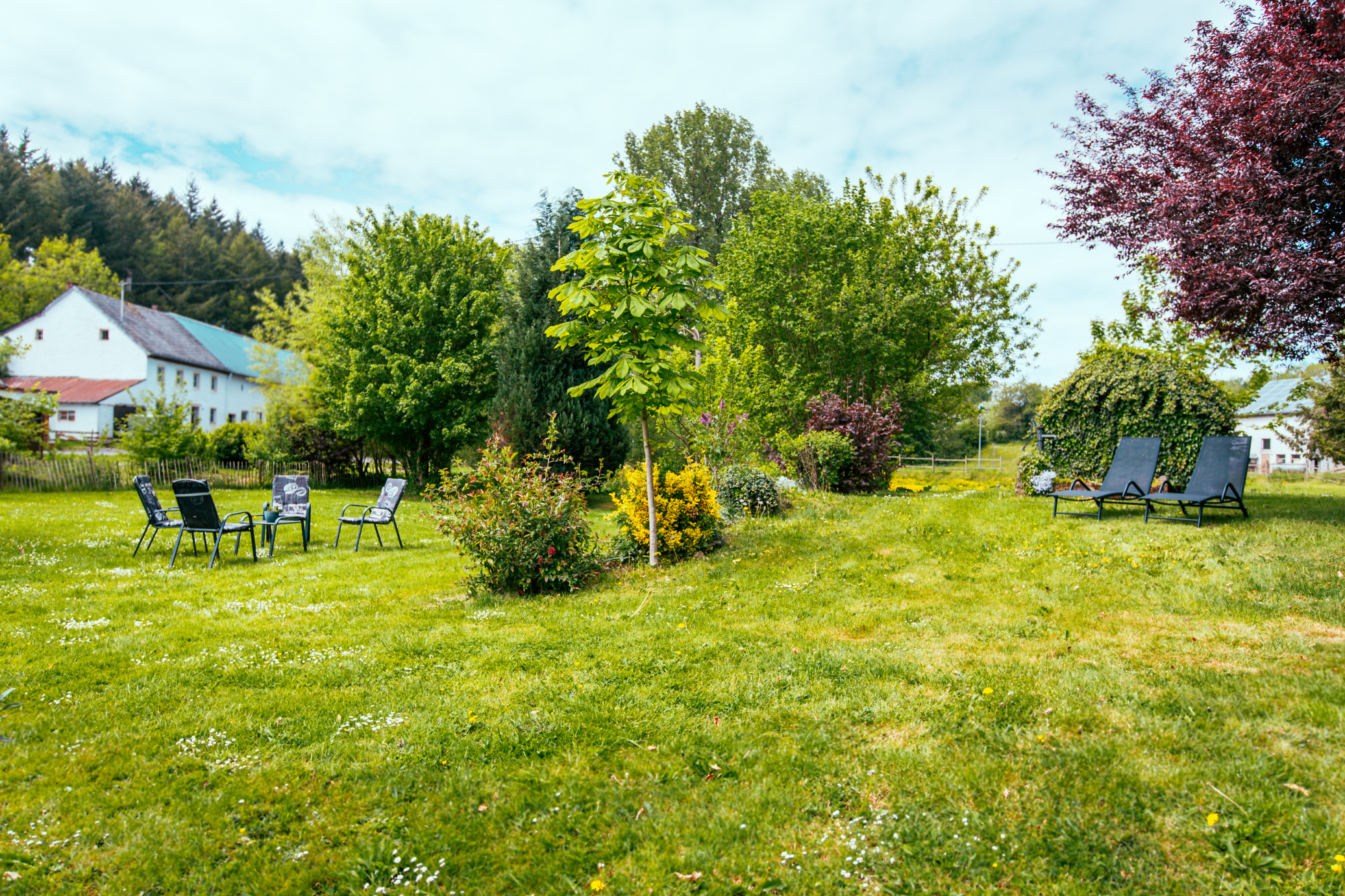 Ferienwohnung, Urlaub, Eifel, Garten, Sonnenliege, Natur
