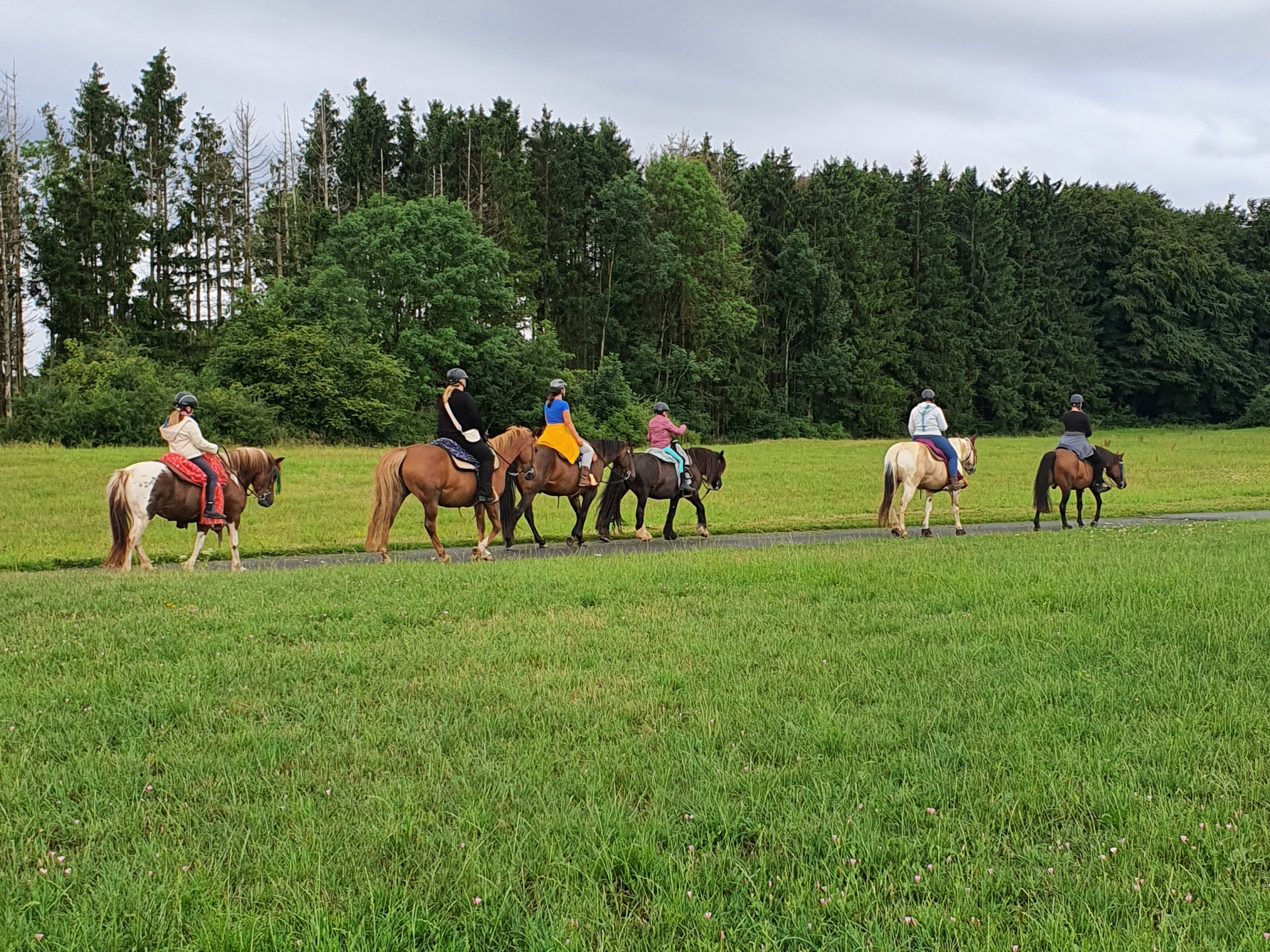Ferienwohnung, Hersdorf, Urlaub, Reiten, Pferde, Eifel, Gruppe Ferienwohnung, Hersdorf, Urlaub, Reiten, Pferde, Eifel, Gruppe