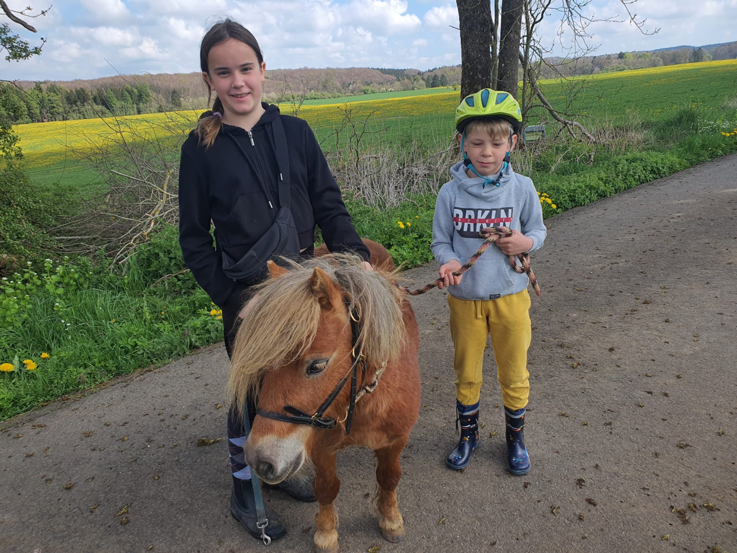Eifel, Hersdorf, Ferienwohung, Urlaub, Kinder, Pony Eifel, Hersdorf, Ferienwohung, Urlaub, Kinder, Pony